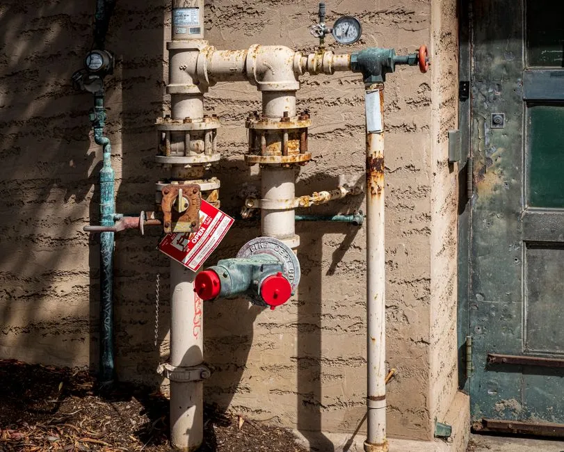 Main Water Line Leak Detection in Rose Garden