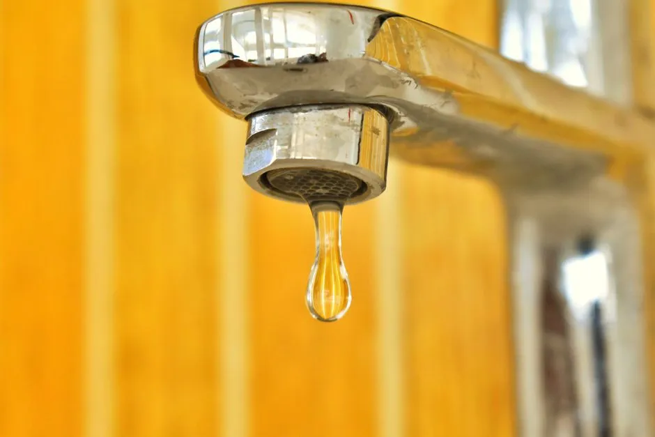 Main Water Line Leak Detection in Savannah Ranch