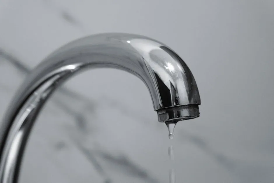 Main Water Line Leak Detection in Schertz, TX