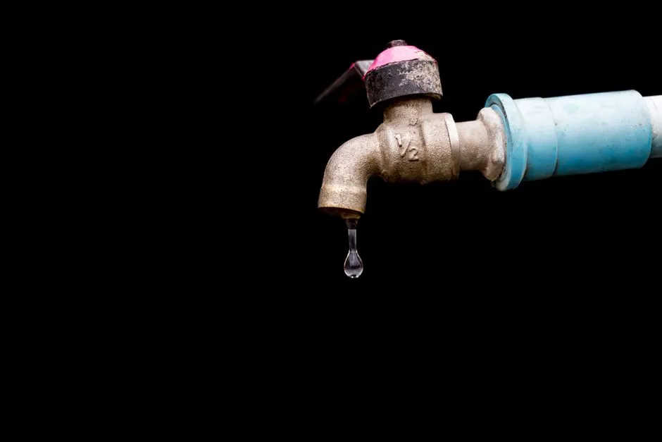 Main Water Line Leak Detection Schertz TX